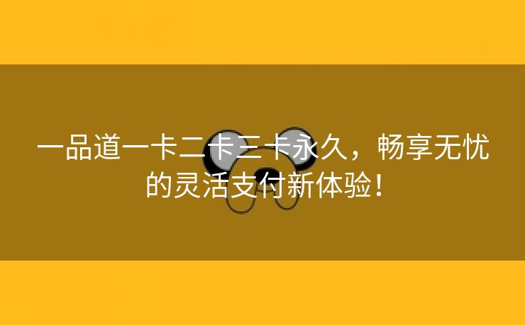 一品道一卡二卡三卡永久，畅享无忧的灵活支付新体验！