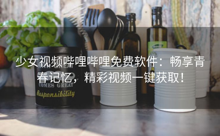 少女视频哔哩哔哩免费软件：畅享青春记忆，精彩视频一键获取！