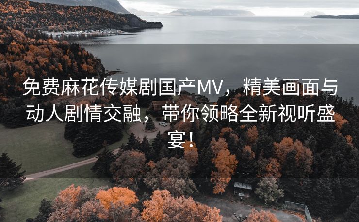 免费麻花传媒剧国产MV，精美画面与动人剧情交融，带你领略全新视听盛宴！