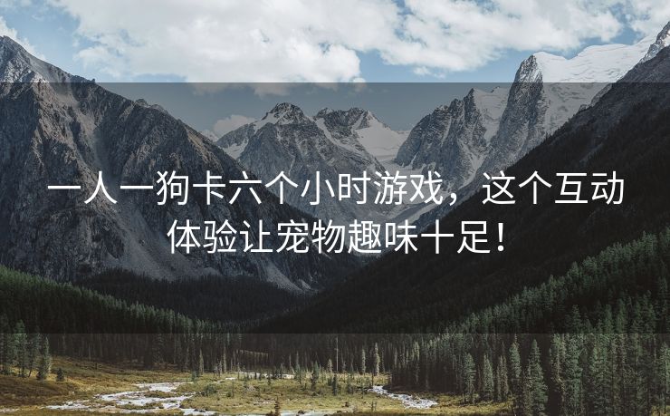 一人一狗卡六个小时游戏，这个互动体验让宠物趣味十足！
