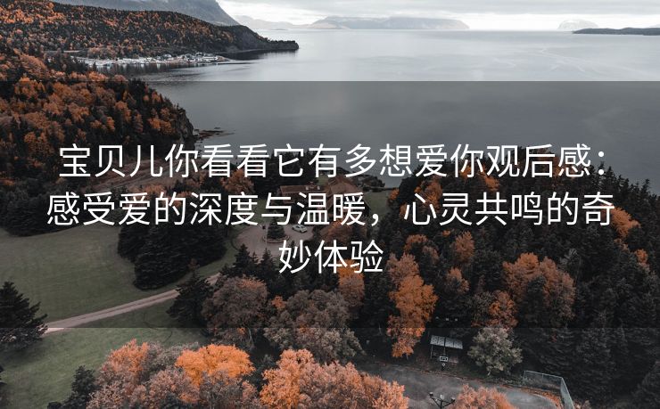 宝贝儿你看看它有多想爱你观后感：感受爱的深度与温暖，心灵共鸣的奇妙体验