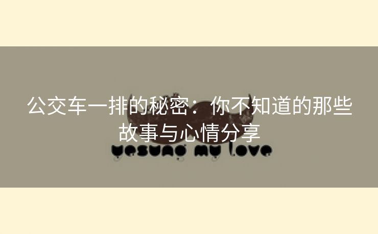 公交车一排的秘密：你不知道的那些故事与心情分享