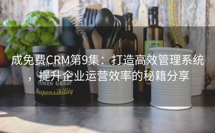 成免费CRM第9集：打造高效管理系统，提升企业运营效率的秘籍分享