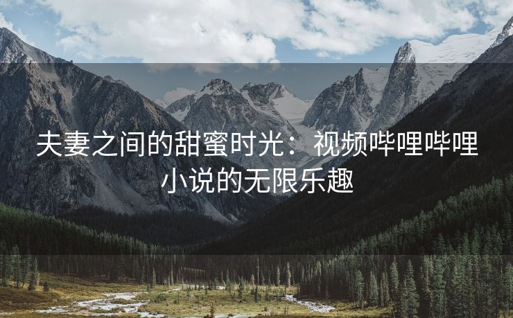 夫妻之间的甜蜜时光：视频哔哩哔哩小说的无限乐趣