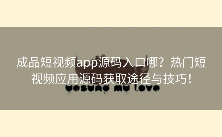 成品短视频app源码入口哪？热门短视频应用源码获取途径与技巧！