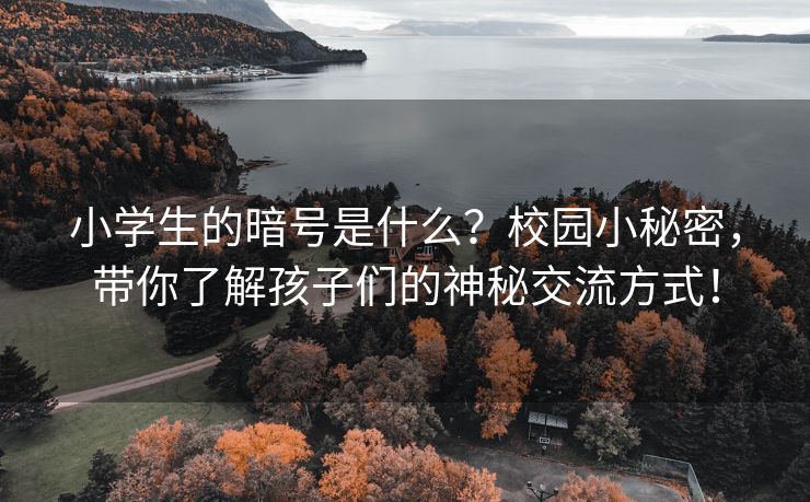 小学生的暗号是什么？校园小秘密，带你了解孩子们的神秘交流方式！