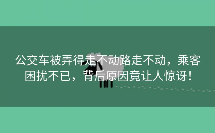 公交车被弄得走不动路走不动，乘客困扰不已，背后原因竟让人惊讶！