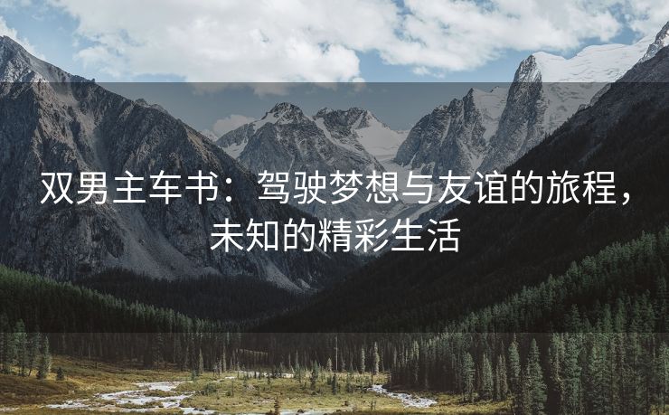双男主车书：驾驶梦想与友谊的旅程，未知的精彩生活