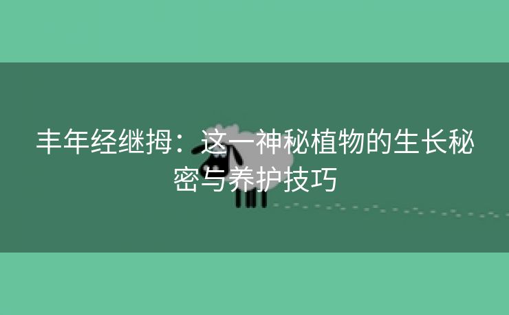 丰年经继拇：这一神秘植物的生长秘密与养护技巧