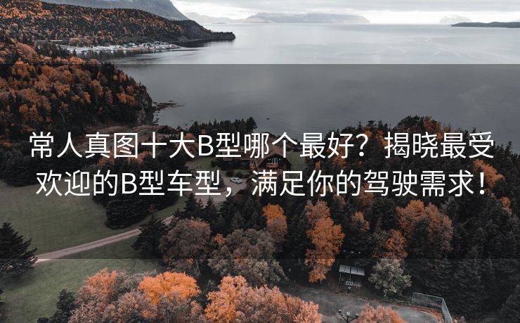 常人真图十大B型哪个最好？揭晓最受欢迎的B型车型，满足你的驾驶需求！