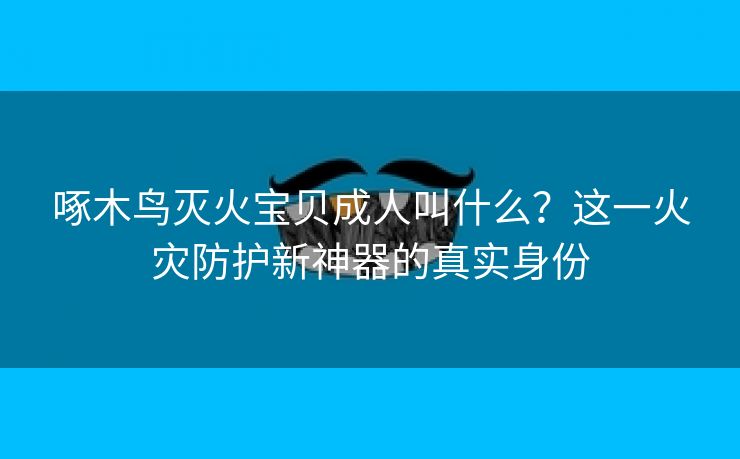啄木鸟灭火宝贝成人叫什么？这一火灾防护新神器的真实身份