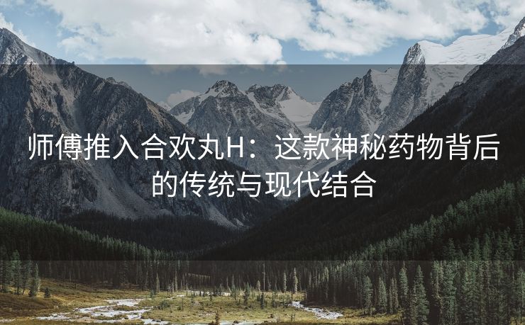 师傅推入合欢丸H：这款神秘药物背后的传统与现代结合