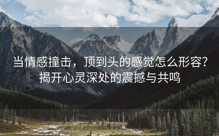当情感撞击，顶到头的感觉怎么形容？揭开心灵深处的震撼与共鸣