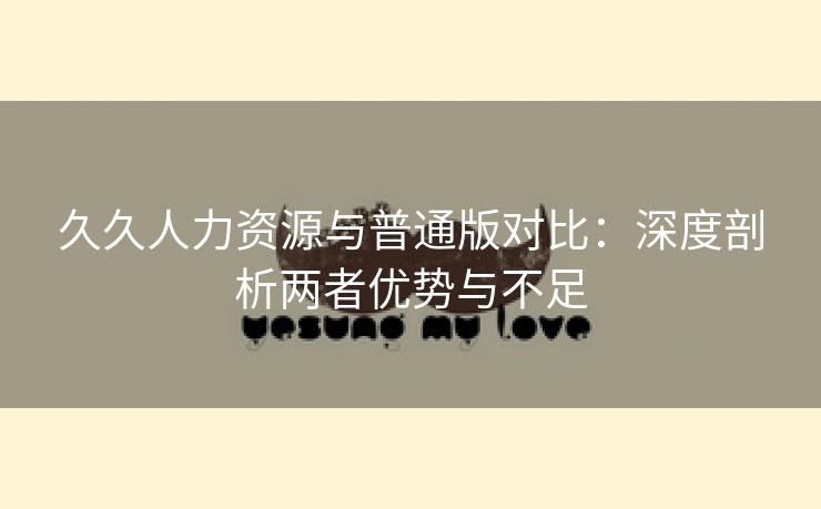 久久人力资源与普通版对比：深度剖析两者优势与不足
