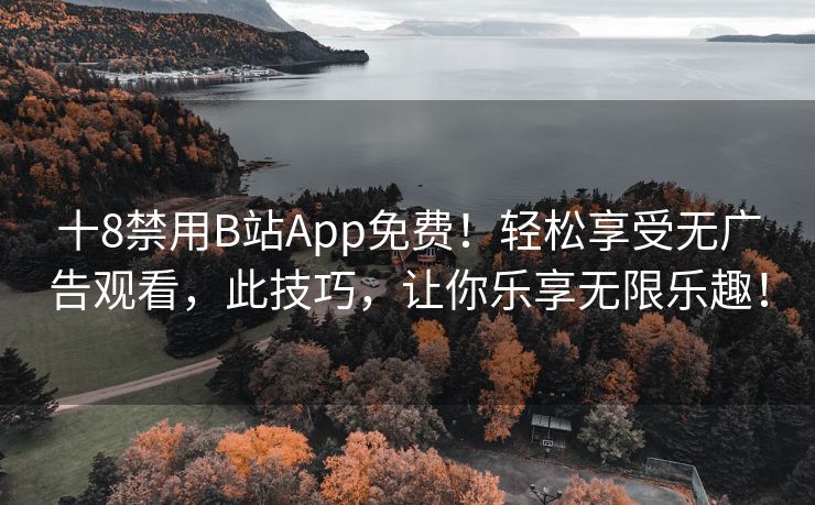 十8禁用B站App免费！轻松享受无广告观看，此技巧，让你乐享无限乐趣！