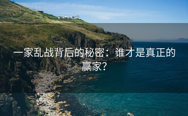一家乱战背后的秘密：谁才是真正的赢家？