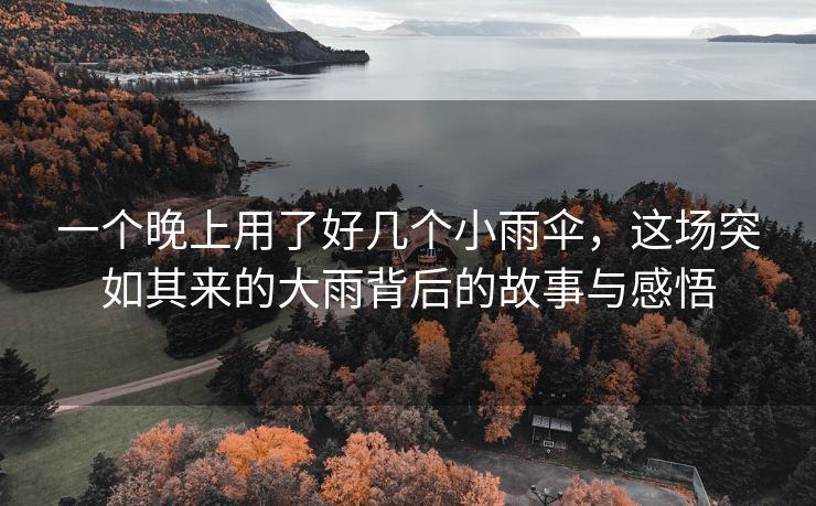 一个晚上用了好几个小雨伞，这场突如其来的大雨背后的故事与感悟