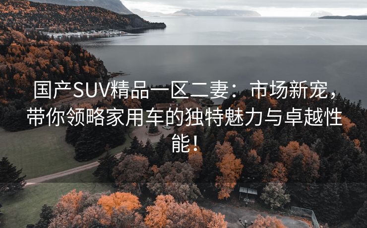 国产SUV精品一区二妻：市场新宠，带你领略家用车的独特魅力与卓越性能！