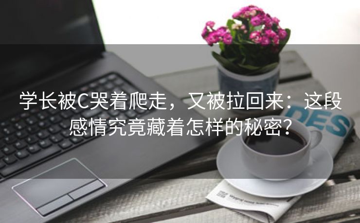 学长被C哭着爬走，又被拉回来：这段感情究竟藏着怎样的秘密？