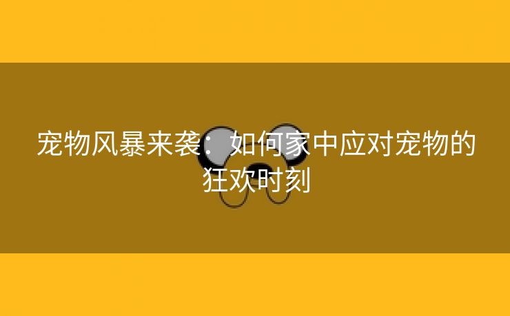 宠物风暴来袭：如何家中应对宠物的狂欢时刻