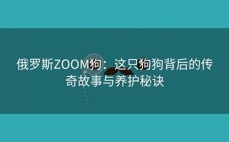 俄罗斯ZOOM狗：这只狗狗背后的传奇故事与养护秘诀