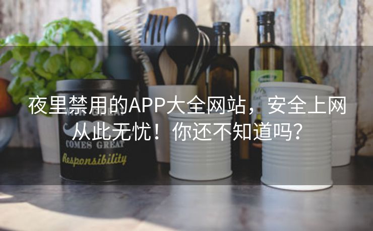夜里禁用的APP大全网站，安全上网从此无忧！你还不知道吗？