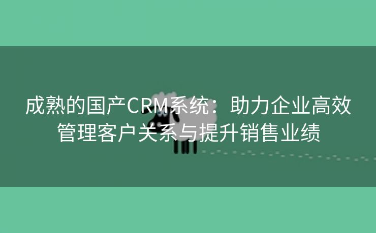 成熟的国产CRM系统：助力企业高效管理客户关系与提升销售业绩