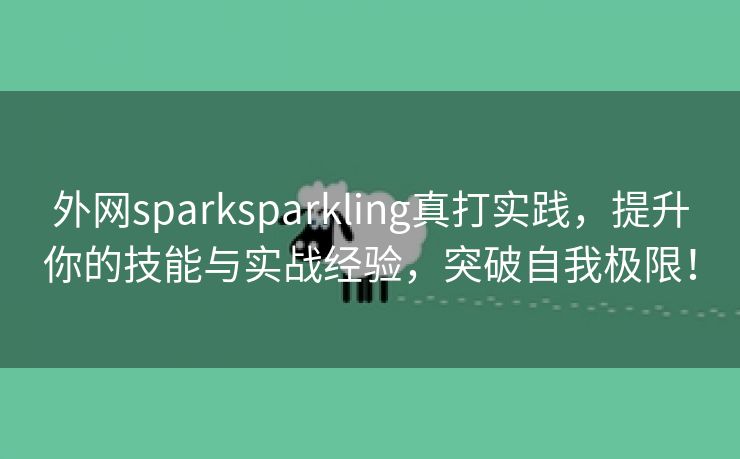 外网sparksparkling真打实践，提升你的技能与实战经验，突破自我极限！