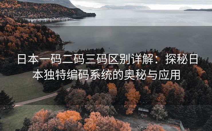 日本一码二码三码区别详解：探秘日本独特编码系统的奥秘与应用
