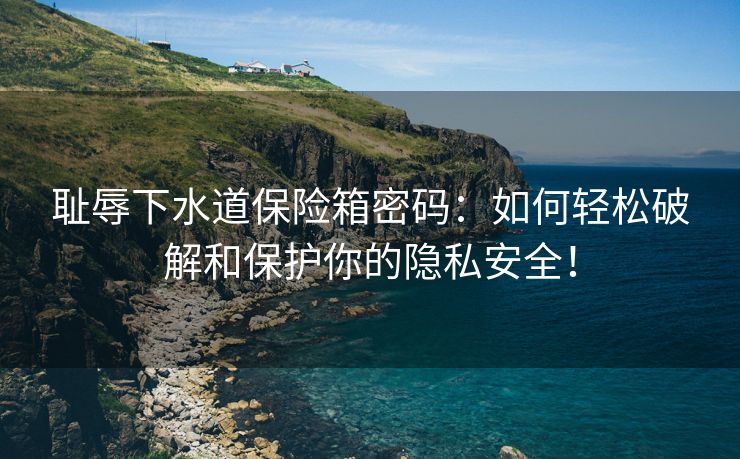 耻辱下水道保险箱密码：如何轻松破解和保护你的隐私安全！