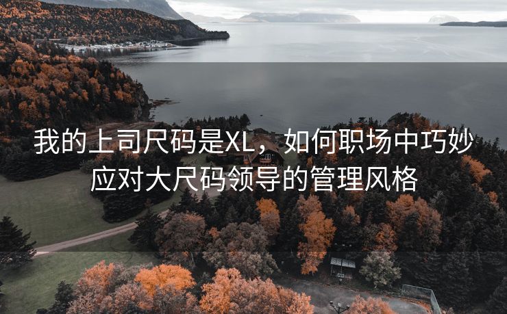 我的上司尺码是XL，如何职场中巧妙应对大尺码领导的管理风格