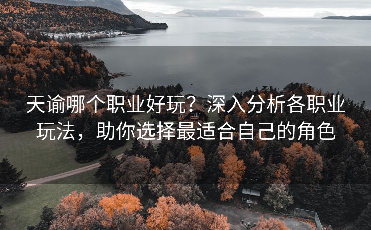 天谕哪个职业好玩？深入分析各职业玩法，助你选择最适合自己的角色