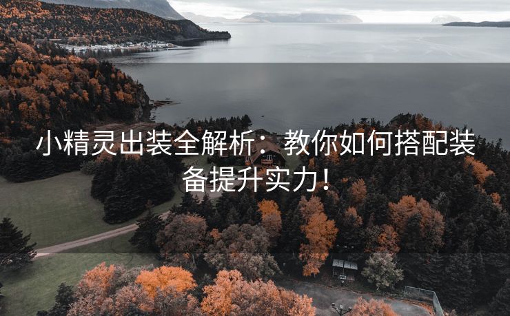 小精灵出装全解析：教你如何搭配装备提升实力！