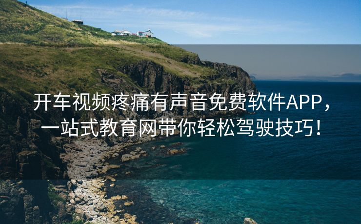 开车视频疼痛有声音免费软件APP，一站式教育网带你轻松驾驶技巧！