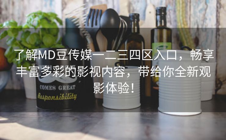 了解MD豆传媒一二三四区入口，畅享丰富多彩的影视内容，带给你全新观影体验！