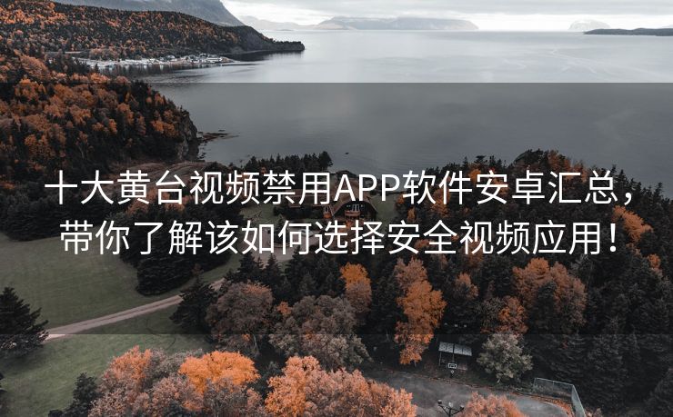 十大黄台视频禁用APP软件安卓汇总，带你了解该如何选择安全视频应用！