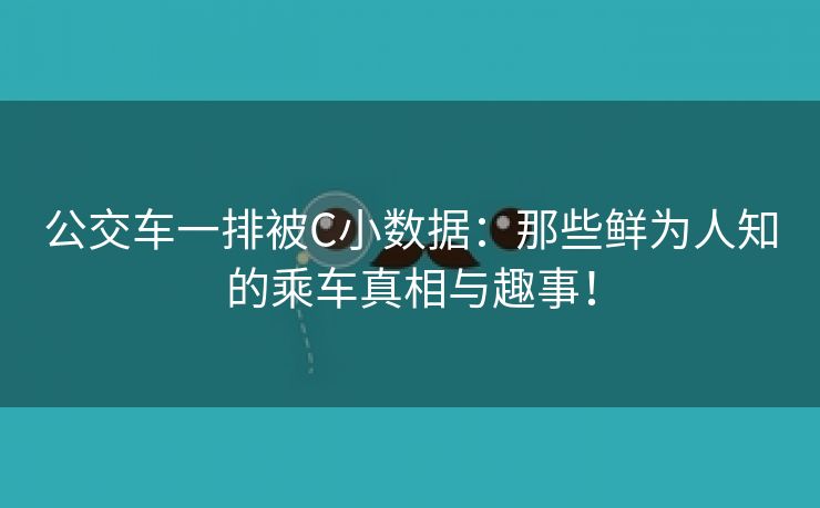 公交车一排被C小数据：那些鲜为人知的乘车真相与趣事！