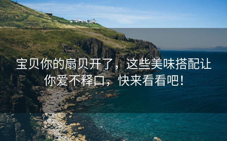 宝贝你的扇贝开了，这些美味搭配让你爱不释口，快来看看吧！