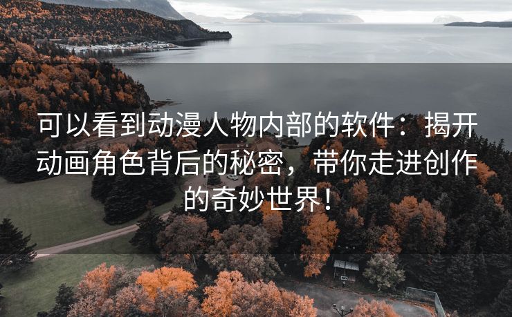 可以看到动漫人物内部的软件：揭开动画角色背后的秘密，带你走进创作的奇妙世界！