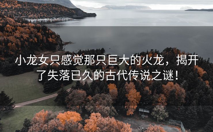 小龙女只感觉那只巨大的火龙，揭开了失落已久的古代传说之谜！