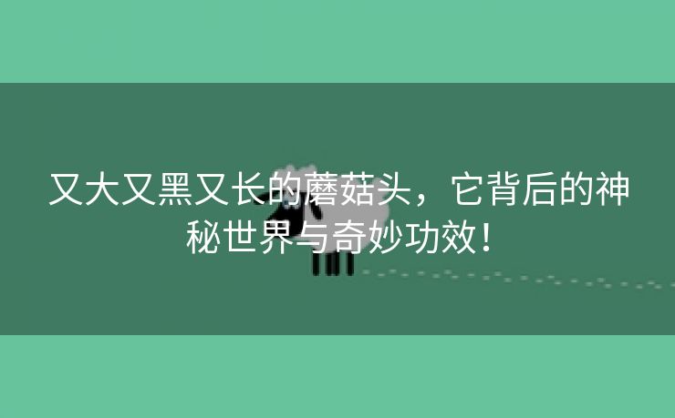 又大又黑又长的蘑菇头，它背后的神秘世界与奇妙功效！
