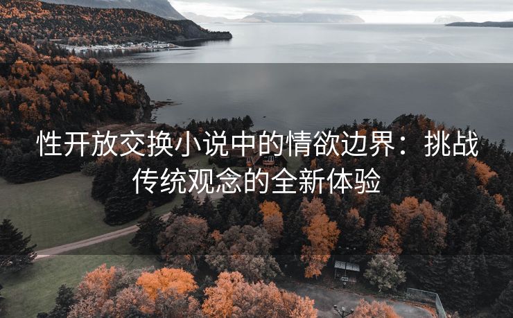性开放交换小说中的情欲边界：挑战传统观念的全新体验