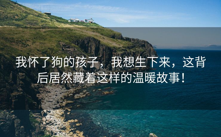 我怀了狗的孩子，我想生下来，这背后居然藏着这样的温暖故事！