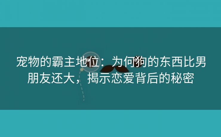 宠物的霸主地位：为何狗的东西比男朋友还大，揭示恋爱背后的秘密
