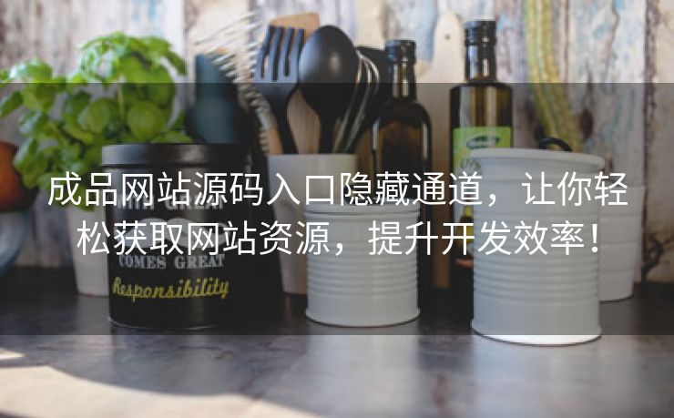 成品网站源码入口隐藏通道，让你轻松获取网站资源，提升开发效率！