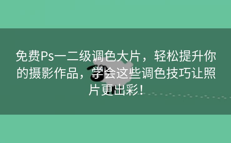 免费Ps一二级调色大片，轻松提升你的摄影作品，学会这些调色技巧让照片更出彩！