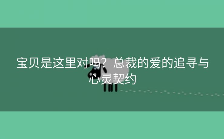 宝贝是这里对吗？总裁的爱的追寻与心灵契约