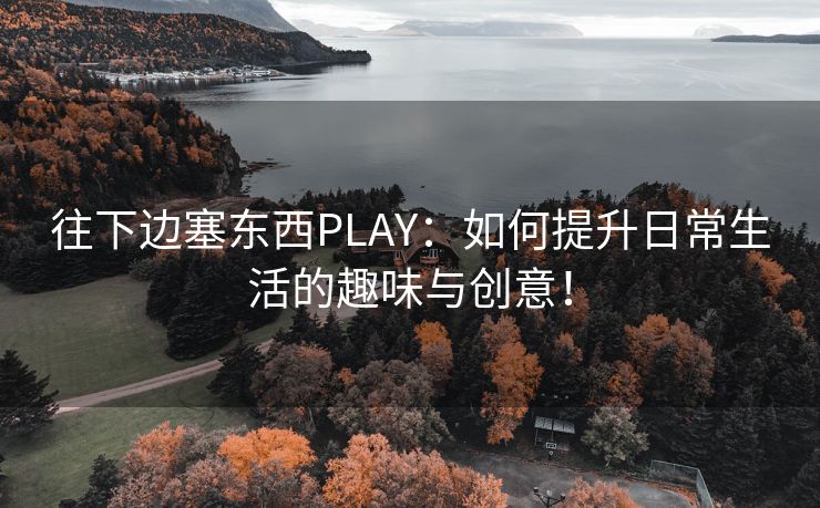 往下边塞东西PLAY：如何提升日常生活的趣味与创意！