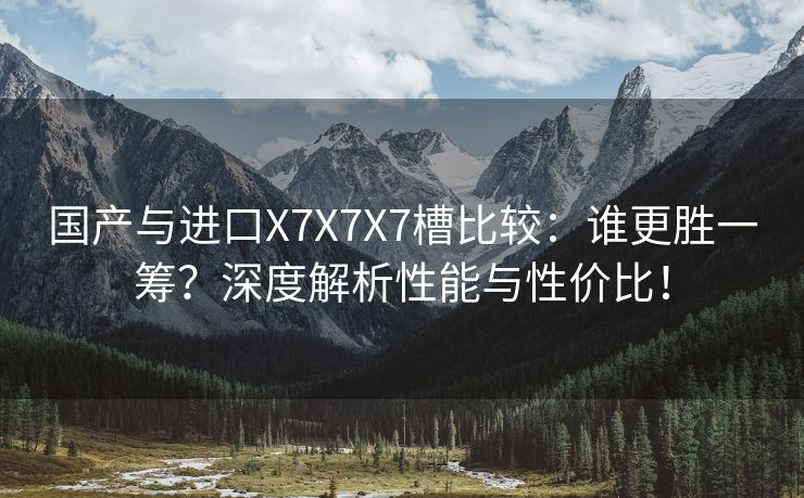 国产与进口X7X7X7槽比较：谁更胜一筹？深度解析性能与性价比！