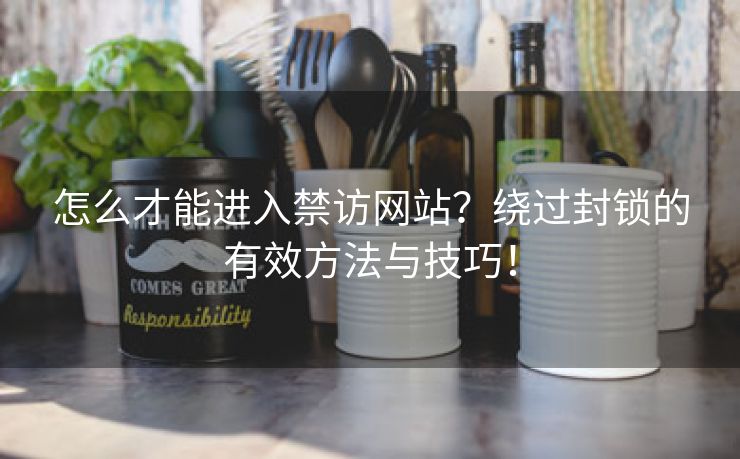 怎么才能进入禁访网站？绕过封锁的有效方法与技巧！